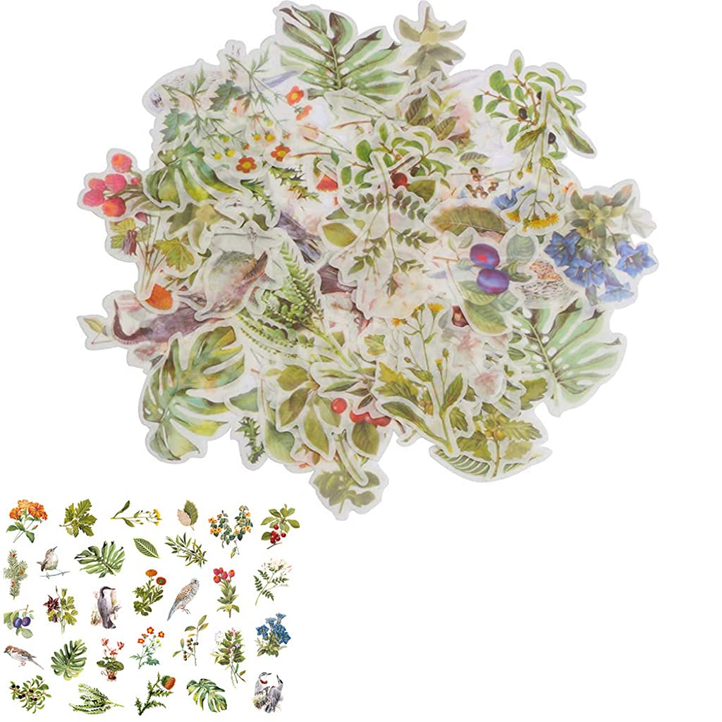 HASTHIP 60 Washi Tape Paper Sticker Vintage Plant Bird Sticker Flower Sticker for DIY Scrapbooking Diary Albums Tea Cup Laptop Notebook Decoration (Flower and Bird) HASTHIP 60 Washi Tape Paper Sticker Vintage Plant Bird Sticker Flower Sticker for DIY Scrapbooking Diary Albums Tea Cup Laptop Notebook Decoration (Flower and Bird)